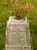 image of grave number 43969